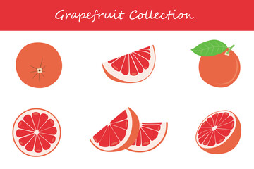grapefruit collection in different poses. Vector illustration.