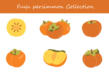 fuyu persimmon collection in different poses. Vector illustration.
