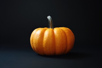 A Single Orange Pumpkin on a Black Background