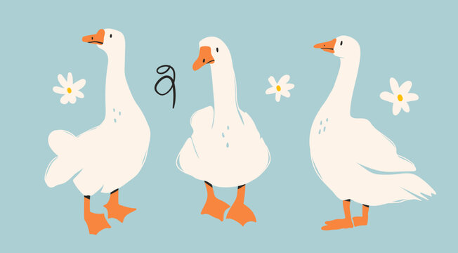 White geese or ducks and camomile flowers. Abstract, quirky, cartoon modern style. Hand drawn modern Vector illustration. Isolated design elements