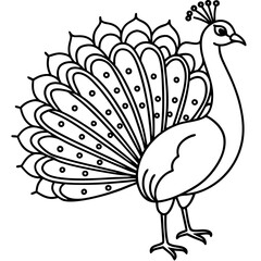 Elegant Minimalist Peacock Simple Line Art of Feathered Beauty