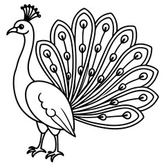 Elegant Minimalist Peacock Simple Line Art of Feathered Beauty