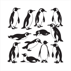 Obraz premium set of Penguin silhouettes 