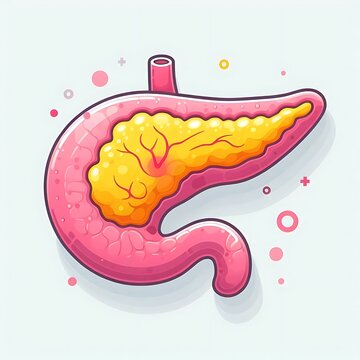 Diabetes, Pancreas (Insulin Production), flat illustration of human organs and systems, diseases, graphics for medical, hospitals, treatment posters, banners, flyers