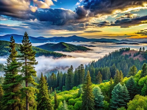 Misty mountains and evergreen trees dissolve into the horizon as a dramatic sky stretches above Cloudcroft, New Mexico, wrapped in atmosphere and mystery.