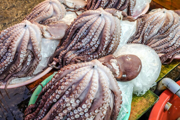 Octopus for sale at Jagalchi Fish Market, Busan, South Korea