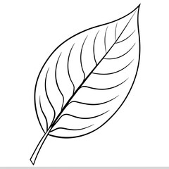 leaf