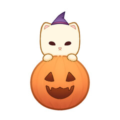 Cat on pumpkin