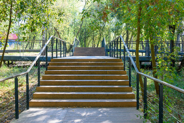 Wooden eco-trail with steps and a fork in the trees.