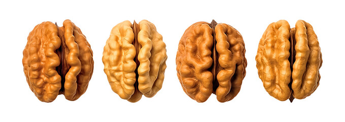 Walnut kernels arranged in a row showcasing their intricate details