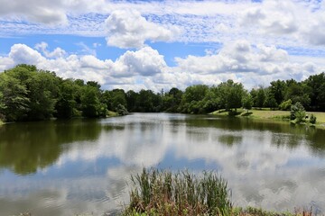 The calm lake in the countryside on a sunny day.