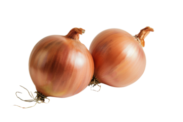 Two brown onions sit side by side against a white background, highlighting their shiny skins and sprouted roots, symbolizing freshness and quality.
