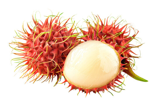 Fresh rambutan fruit reveals its striking red, spiky rind alongside the translucent white flesh, emphasizing this tropical delicacy's unique appearance and taste.