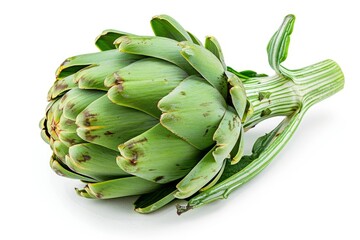 Fototapeta premium A fresh Artichoke isolated on white