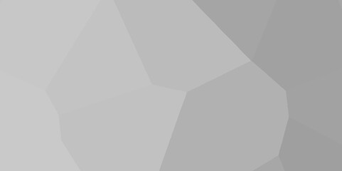 White low poly background texture. Abstract Low Poly White Background, abstract geometric background, Black and white abstract background of triangles low poly. black and white abstract low poly backg