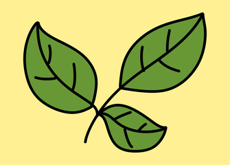 leaf icon. thin line sign. isolated contour symbol illustration