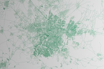 Map of the streets of Puebla City (Mexico) made with green lines on white paper. 3d render, illustration