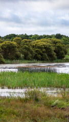 Laguna en un pueblo llamado Cospeito