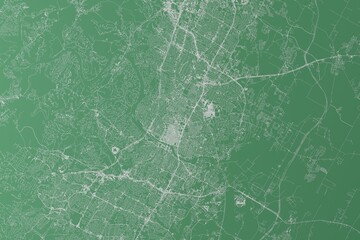Stylized map of the streets of Austin (Texas, USA) made with white lines on green background. Top view. 3d render, illustration