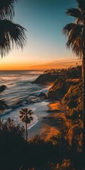 Obraz premium Sunset Coastline View with Palm Trees