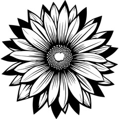 Black/White Flower Vector