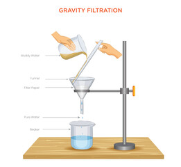 Gravity Filtration Diagram Separating Solids from Liquids Using Filter Paper and Funnel