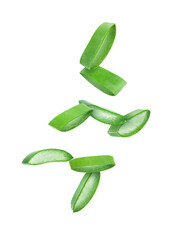 Slices of aloe vera leaf falling on white background
