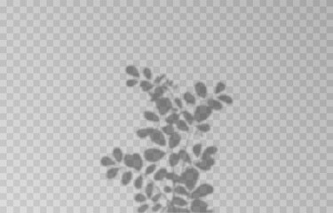 Vector plant shadow png. Shadow png. Silhouette of grass, leaves, tree on an isolated transparent background.