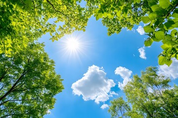 Fototapeta premium the sun shining through a blue sky and white clouds, with some green trees below 