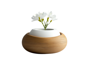 Eco-conscious product design, modern and sleek, sustainable innovation, on solid white background, single object