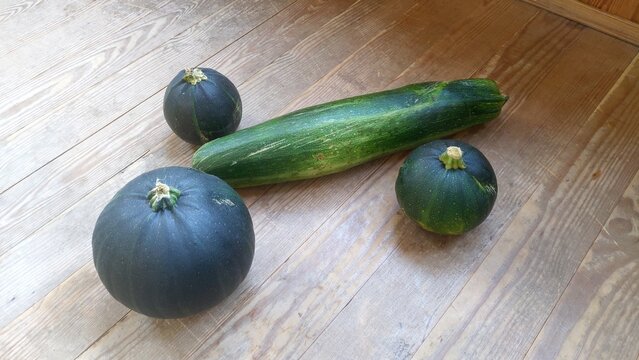 Zucchini of various shapes and sizes lie on the floor of the wooden plank terrace