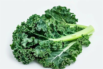 A fresh Kale isolated on white