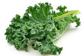 Fototapeta premium A fresh Kale isolated on white
