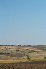 A field with a blue sky