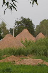 Straw stacks after reaped beside a country road and green grasses around.