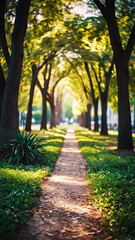 Obraz premium Blurred bokeh of a path through a tranquil park