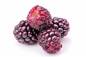A fresh olallieberry isolated on white