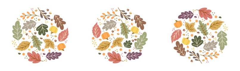 Fototapeta premium circle shape dried leave pattern decoration set