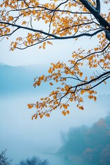 Fototapeta premium Autumn Leaves Branch in the Fog Over Water