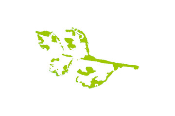 Green watercolor background. Artistic hand paint. Isolated on transparent background.
