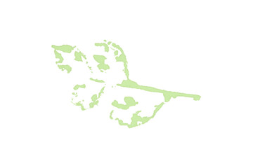 Green watercolor background. Artistic hand paint. Isolated on transparent background.
