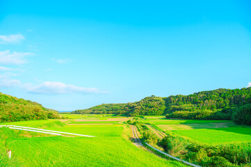 Fototapeta premium 鹿児島 種子島の風景