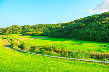 Obraz premium 鹿児島 種子島の風景