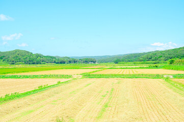 Obraz premium 鹿児島 種子島の風景