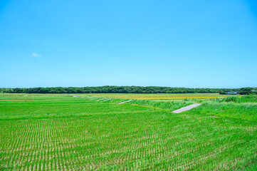 鹿児島 種子島の風景