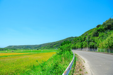 Naklejka premium 鹿児島 種子島の風景