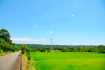 Fototapeta premium 鹿児島 種子島の風景