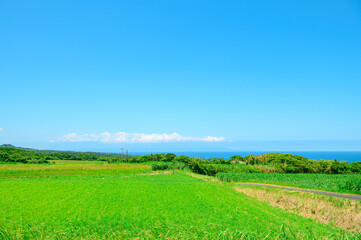 鹿児島 種子島の風景