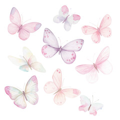 Group of pastel colored butterflies on transparent background