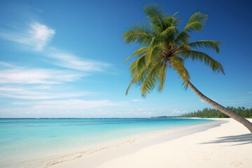A serene Maldivian beach scene, with soft white sand, gentle waves lapping at the shore, and a lone palm tree swaying in the breeze, all bathed in the warm glow of the tropical sun